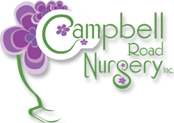 campbell logo