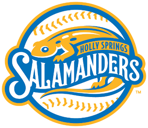 HS Salamanders logo
