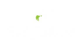 Holly Springs Food Cupboard